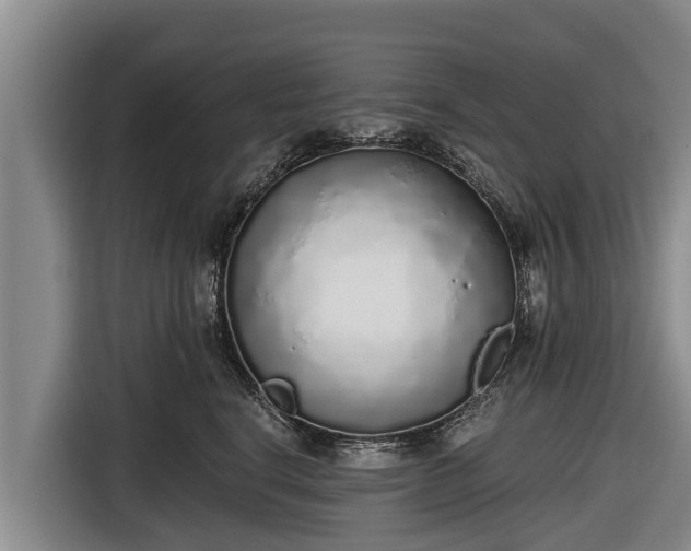 X0000116860664200912291301