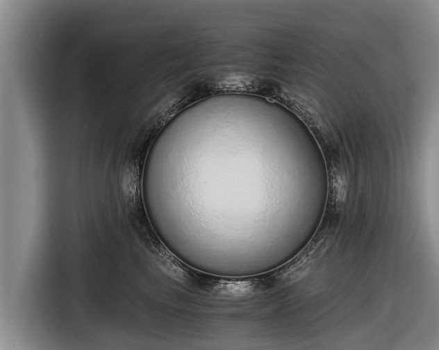 X0000116860665200912291301