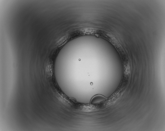 X0000116860666200912291301