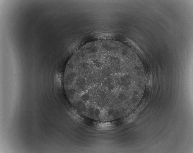 X0000116860669200912291301