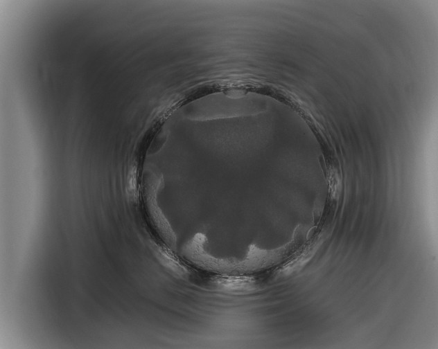 X0000116860670200912291301