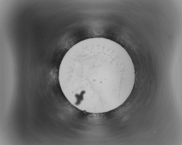 X0000116860672200912291301