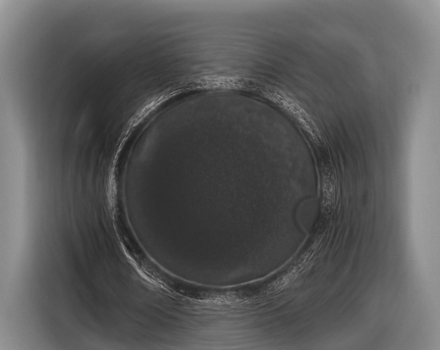 X0000116860674200912291300