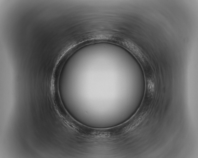 X0000116860676200912291300