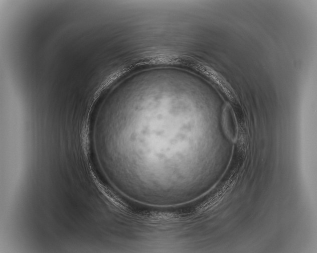 X0000116860677200912291300