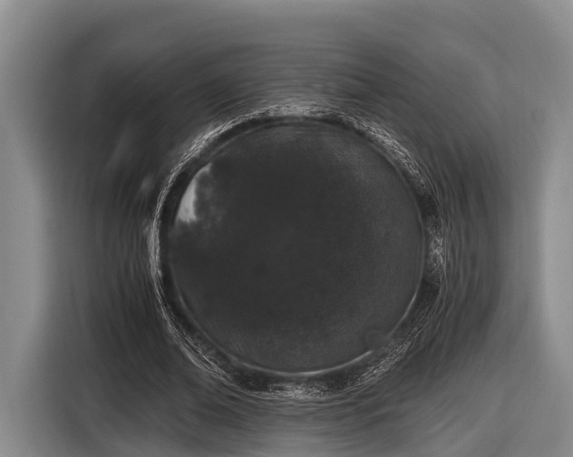 X0000116860678200912291300