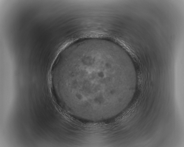 X0000116860679200912291300