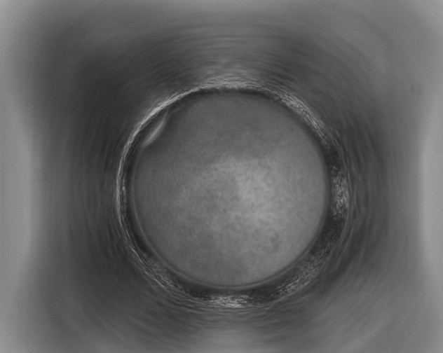 X0000116860680200912291300