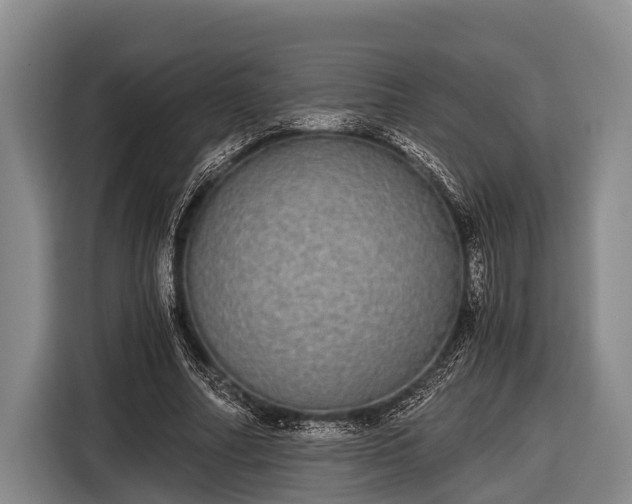 X0000116860682200912291300