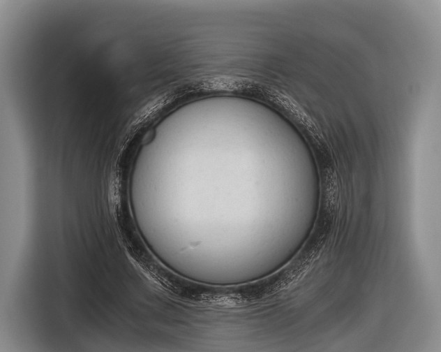 X0000116860683200912291300