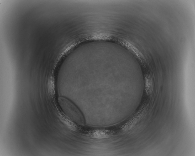 X0000116860684200912291300