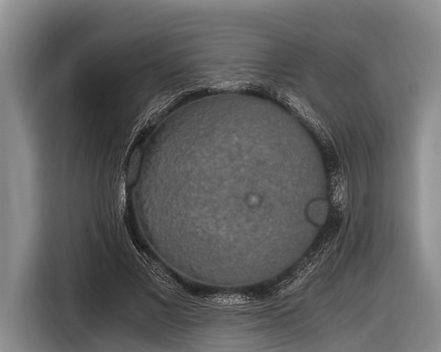 X0000116860685200912291300