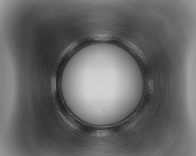 X0000116860686200912291300