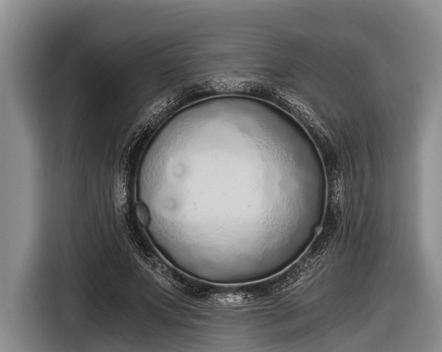 X0000116860687200912291300