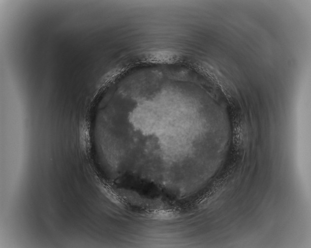 X0000116860688200912291300