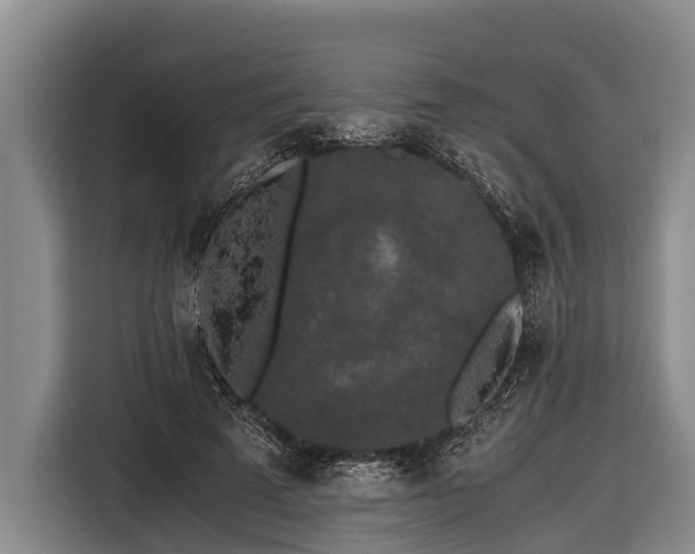 X0000116860689200912291300