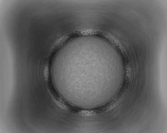 X0000116860690200912291300