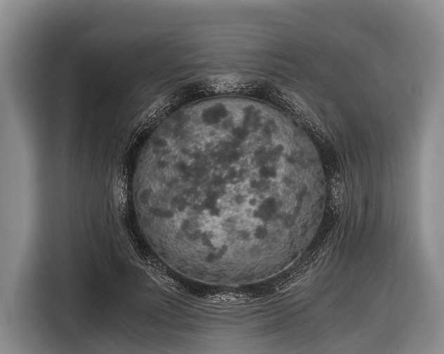 X0000116860691200912291300