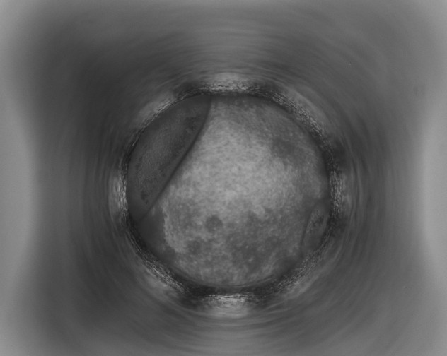 X0000116860692200912291300