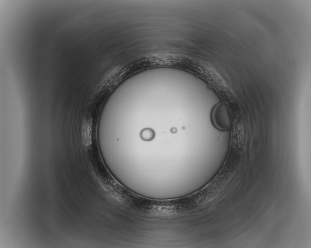 X0000116860694200912291300