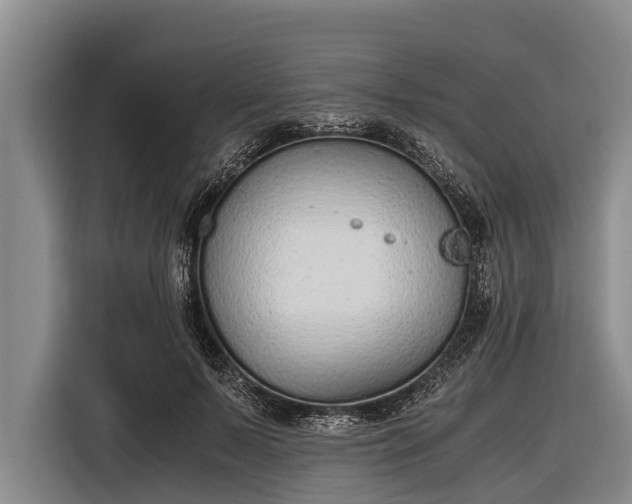 X0000116860695200912291300