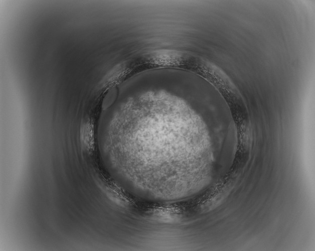 X0000116860696200912291300