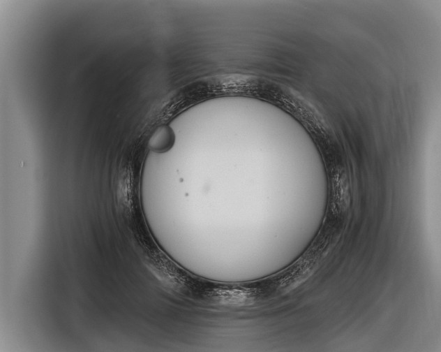 X0000116860698200912291300