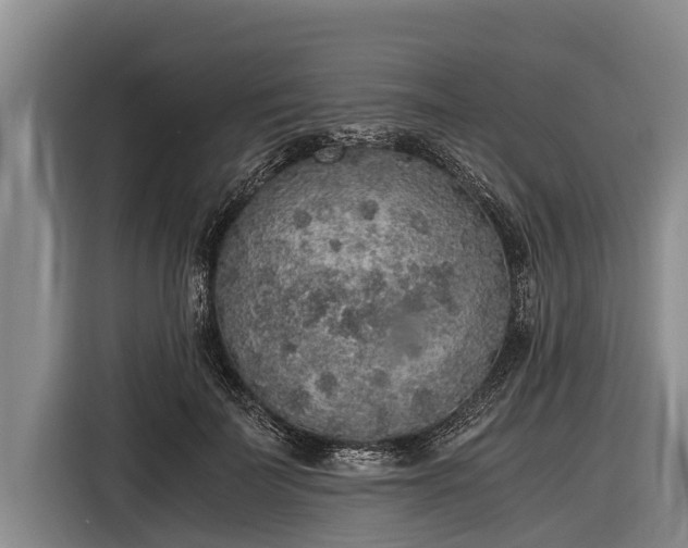 X0000116860699200912291300