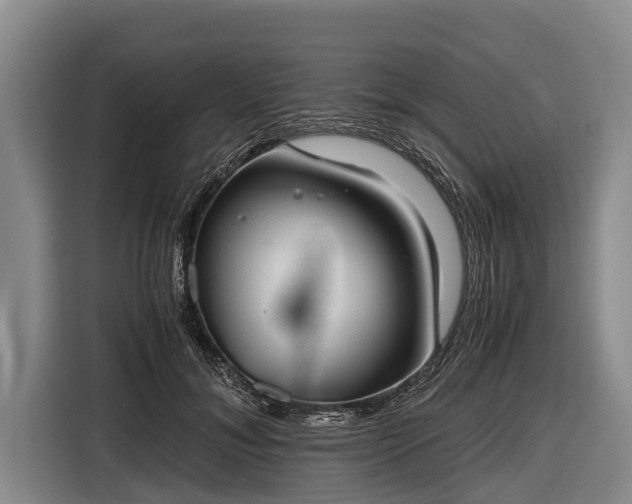 X0000116860700200912291300