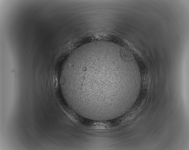 X0000116860703200912291300