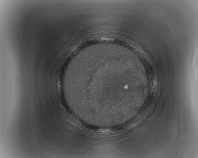 X0000116860704200912291300