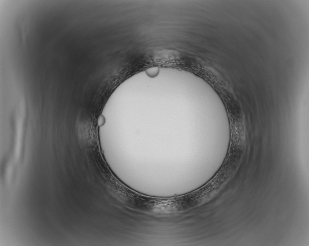 X0000116860705200912291300