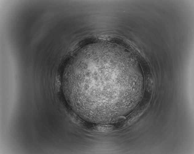 X0000116860707200912291300