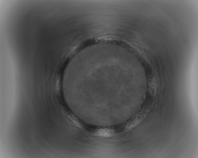 X0000116860708200912291300