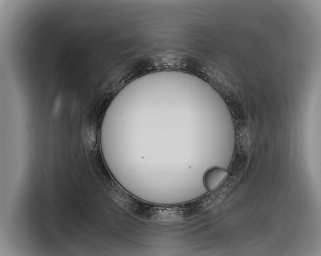 X0000116860709200912291300