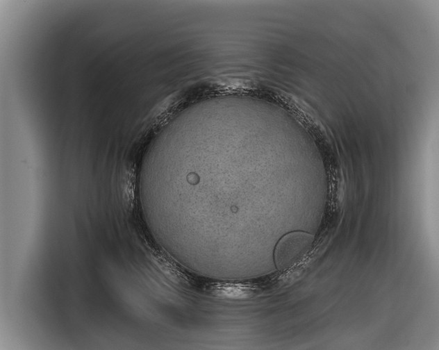 X0000116860710200912291300