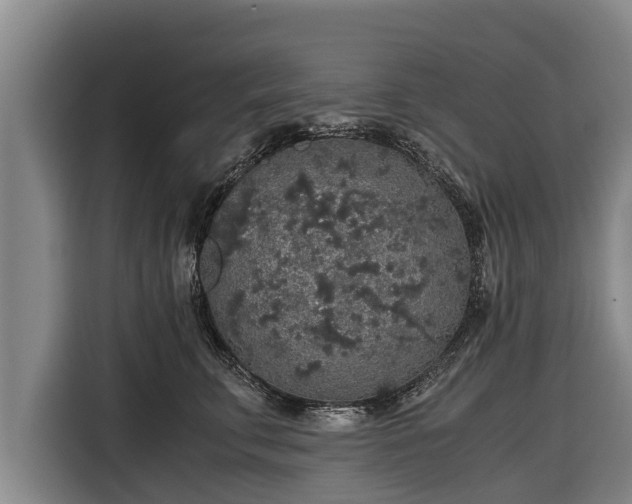 X0000116860711200912291300