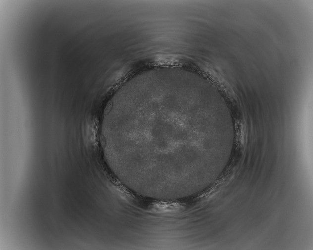 X0000116860712200912291300