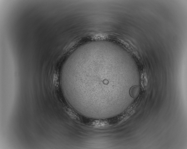 X0000116860714200912291300