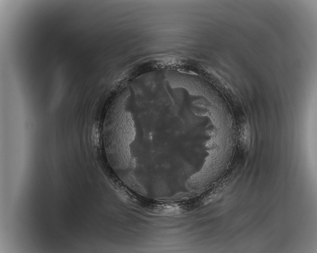 X0000116860715200912291300