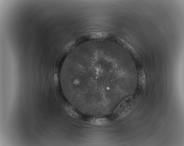 X0000116860716200912291300