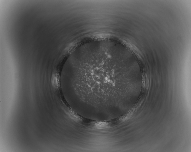 X0000116860718200912291300