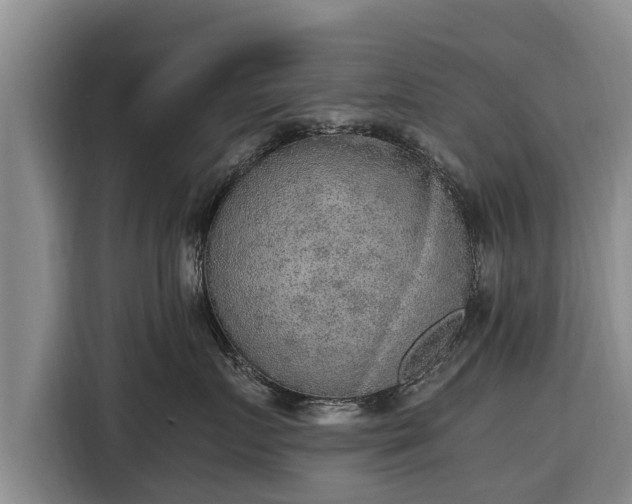 X0000116860719200912291300