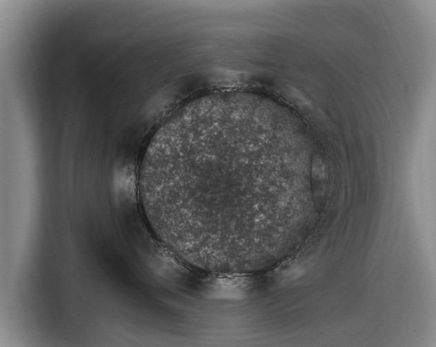 X0000116860720200912291300