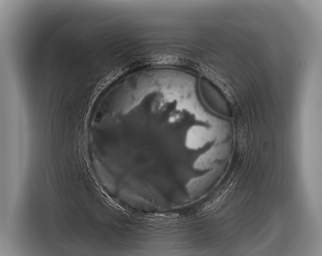 X0000116860721200912291259