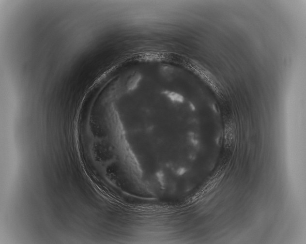 X0000116860722200912291259