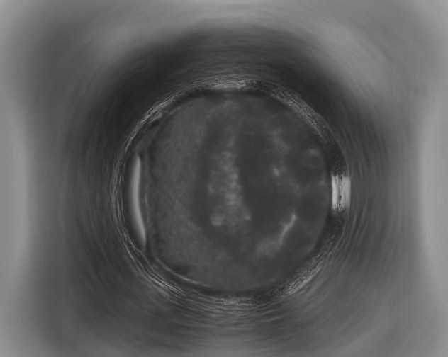 X0000116860723200912291259