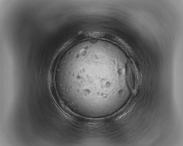 X0000116860725200912291259