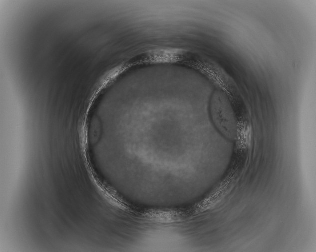 X0000116860726200912291259