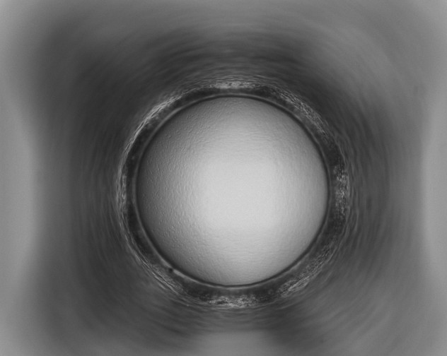 X0000116860727200912291259